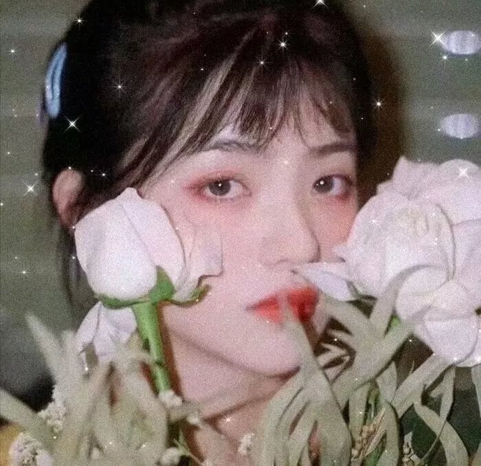 借镜杀人